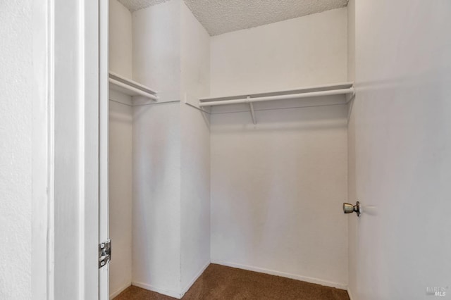 walk in closet with carpet