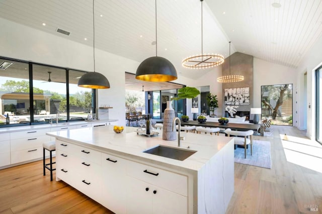 kitchen featuring a sink, light wood-style flooring, a healthy amount of sunlight, visible vents, and modern cabinets