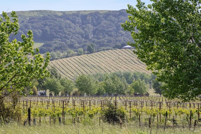 property view of mountains with a rural view