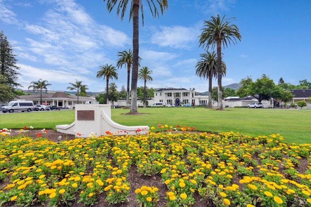 87 Fairways Dr, Napa, CA 94558 - surrounding community with a lawn