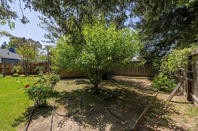 view of yard featuring a fenced backyard