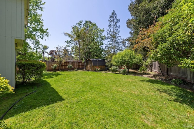 view of yard featuring a fenced backyard, an outdoor structure, and a shed