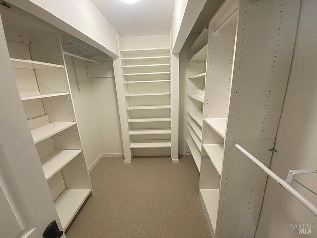 15 Main Dr, San Rafael, CA 94901 - spacious closet featuring carpet flooring