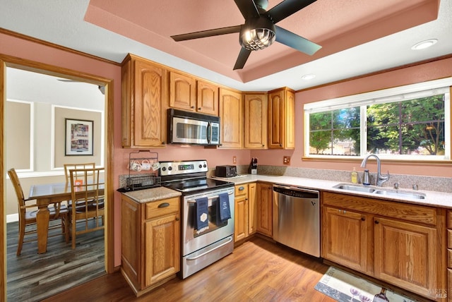 kitchen featuring a sink, a raised ceiling, light wood-style floors, and stainless steel appliances