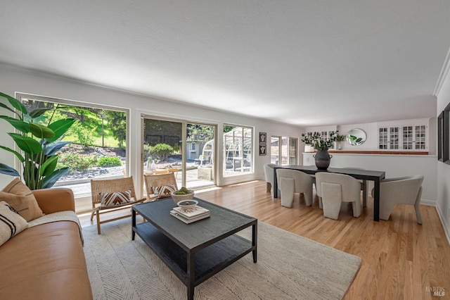 living room with light wood-type flooring