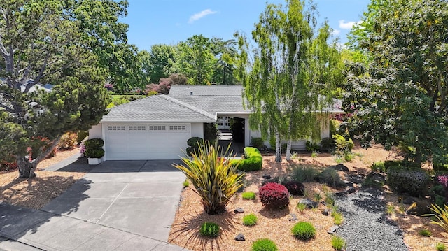 view of front of home with a garage, stucco siding, and driveway