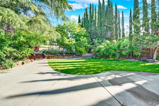 view of yard with a patio area and fence