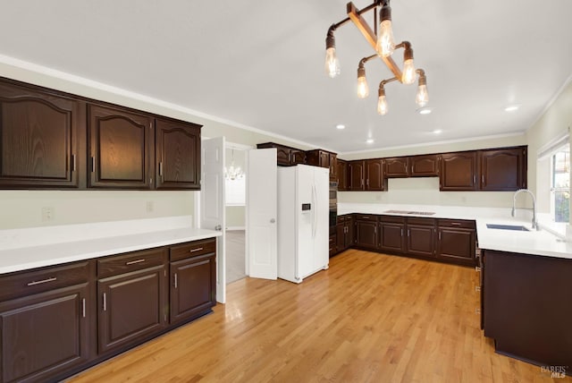 kitchen with a sink, white refrigerator with ice dispenser, stovetop, and dark brown cabinetry
