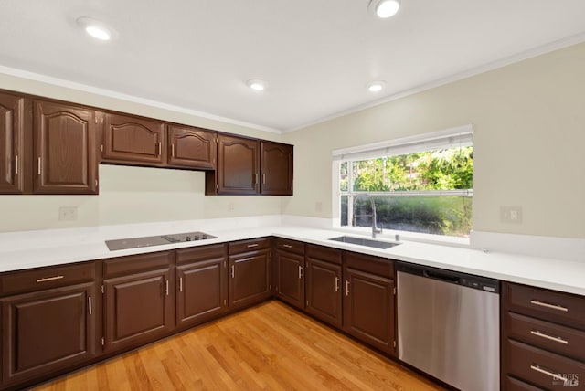 kitchen with dark brown cabinetry, black electric stovetop, light countertops, a sink, and dishwasher