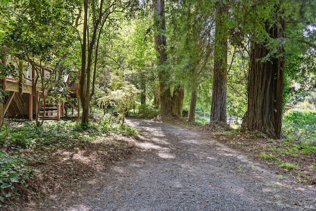view of road featuring a forest view