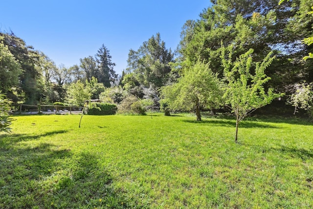 view of yard