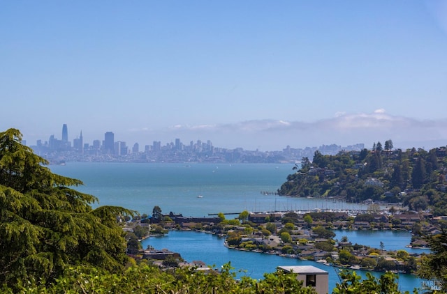 water view featuring a view of city