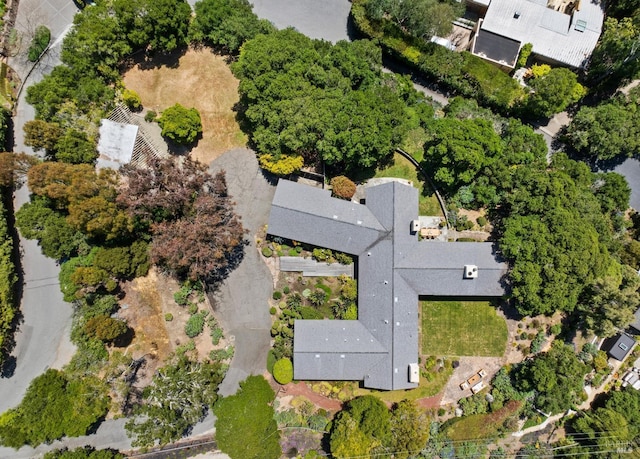 drone / aerial view