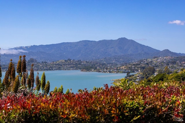 mountain view featuring a water view