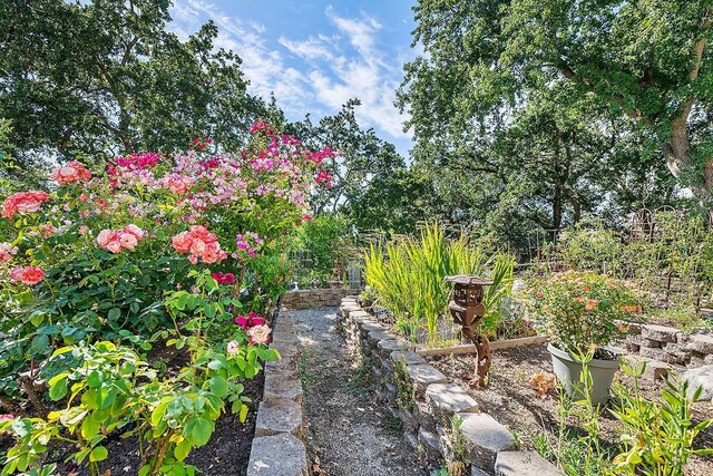 view of yard with a garden