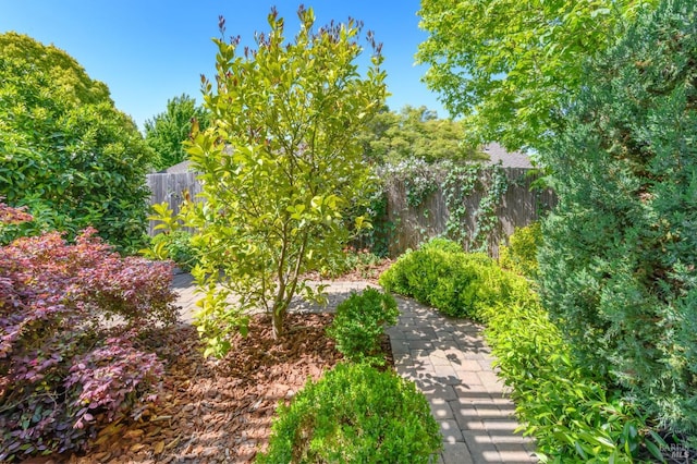 exterior space with fence
