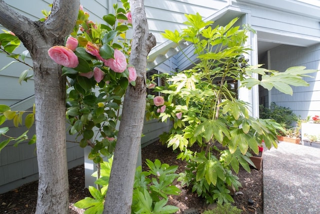 2066 Stonefield Ln, Santa Rosa, CA 95403 - exterior view