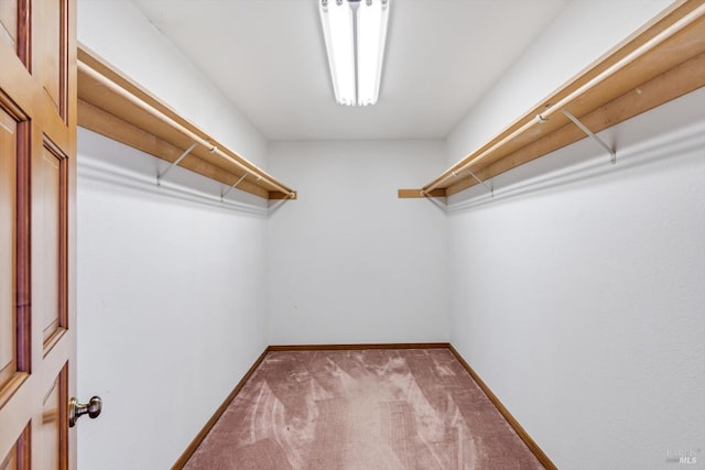spacious closet with carpet