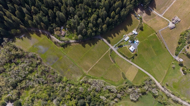 bird's eye view featuring a rural view