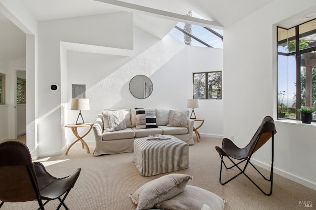 living area with baseboards, lofted ceiling, and a wealth of natural light