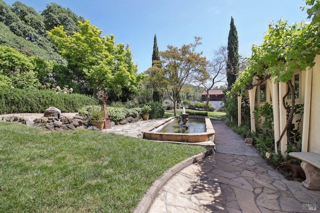 view of yard