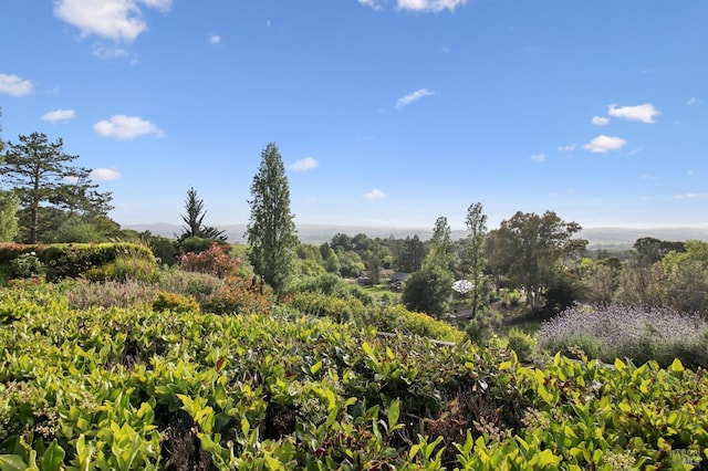 view of landscape