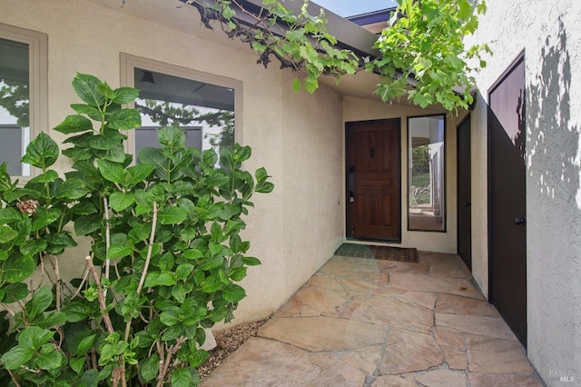 property entrance featuring stucco siding