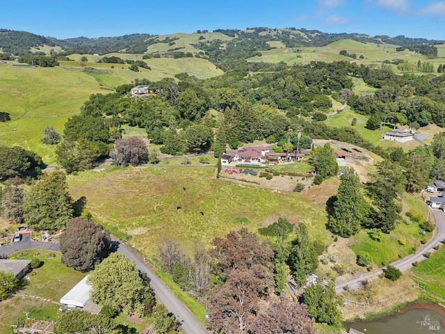 aerial view