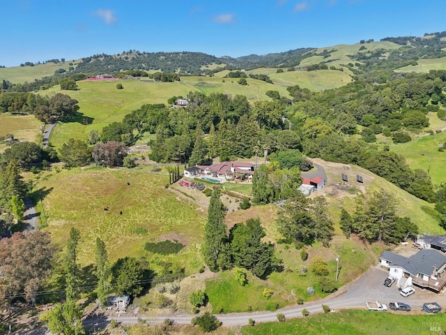 bird's eye view