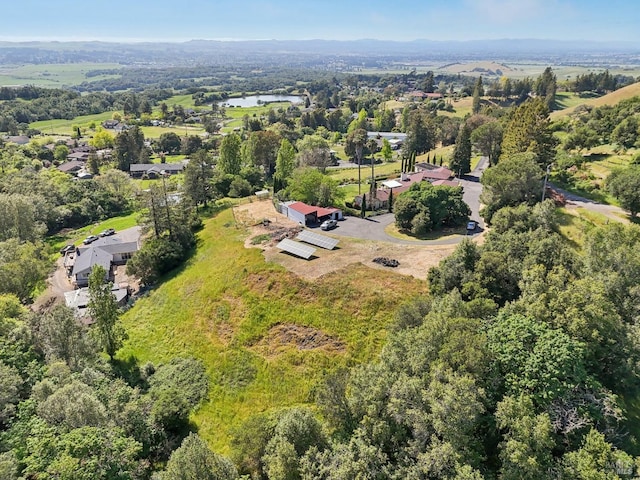 drone / aerial view
