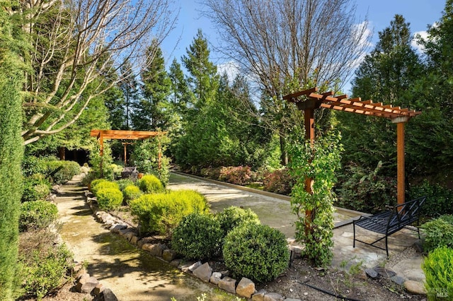 view of yard with a pergola