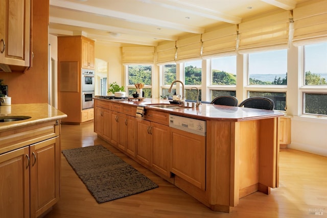 kitchen with dishwasher, a sink, light wood-style flooring, and double oven