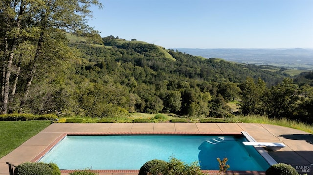 pool with a diving board and a wooded view