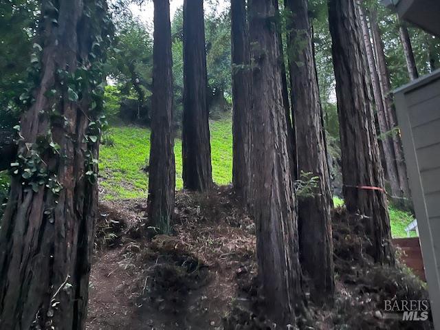 269 Corte Madera Ave, Mill Valley, CA 94941 - view of yard