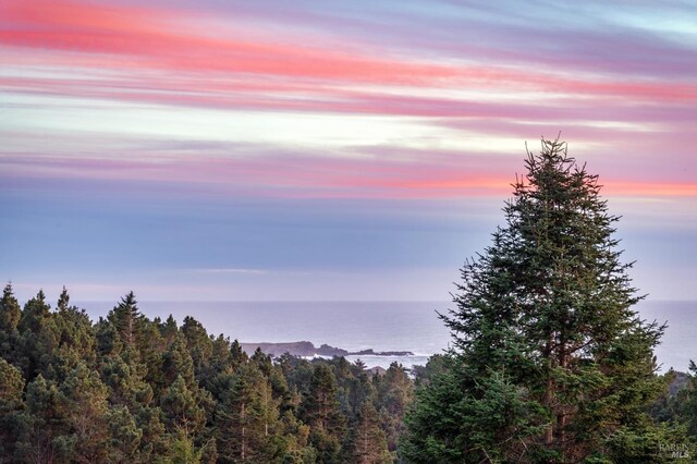 326 Conifer Close, The Sea Ranch, CA 95497 - nature at dusk with a forest view and a water view