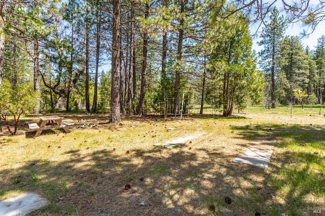 35600 Rock Creek Rd, Shingletown, CA 96088 - view of yard
