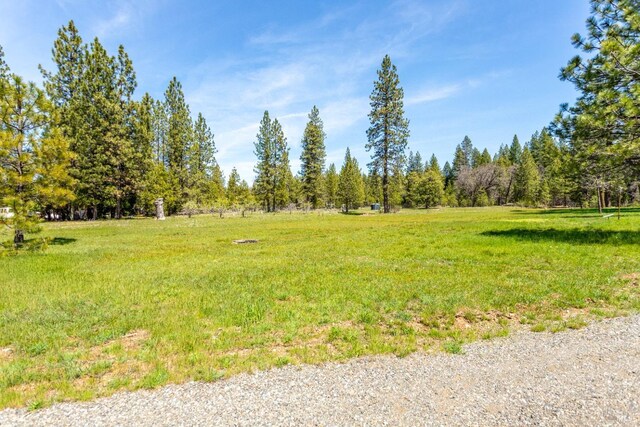 35600 Rock Creek Rd, Shingletown, CA 96088 - view of yard