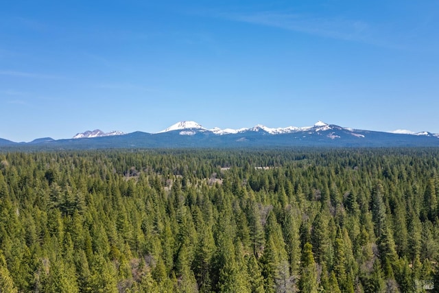 35600 Rock Creek Rd, Shingletown, CA 96088 - mountain view featuring a wooded view