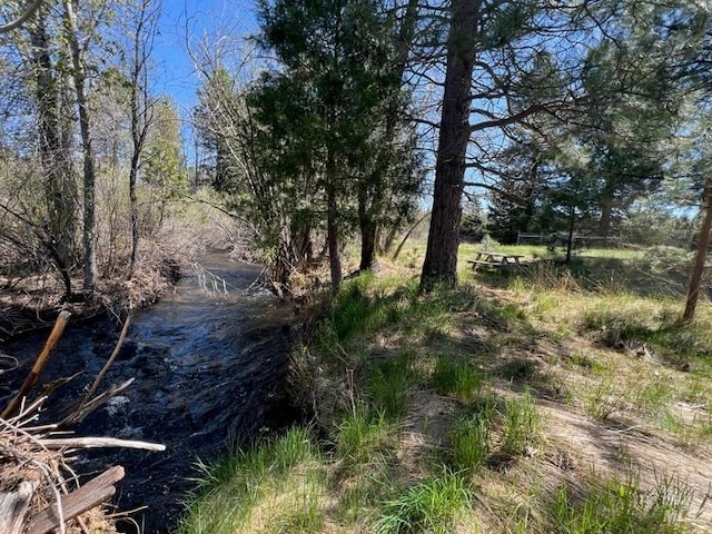 35600 Rock Creek Rd, Shingletown, CA 96088 - view of nature