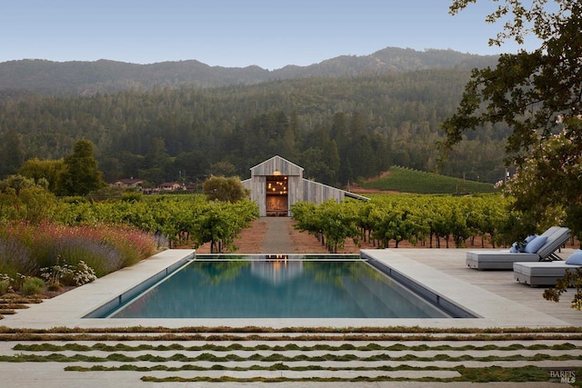 pool featuring a forest view and a mountain view