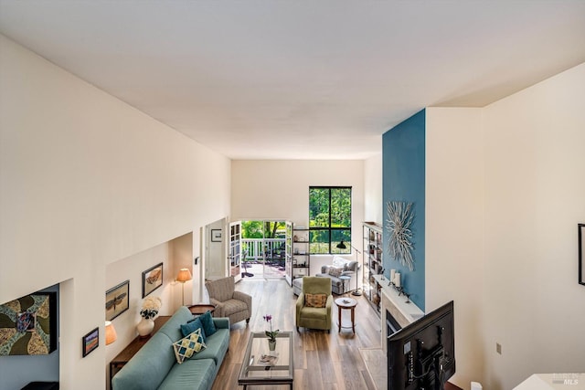 living area featuring a fireplace and wood finished floors