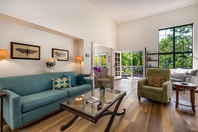 living area featuring wood finished floors and a high ceiling