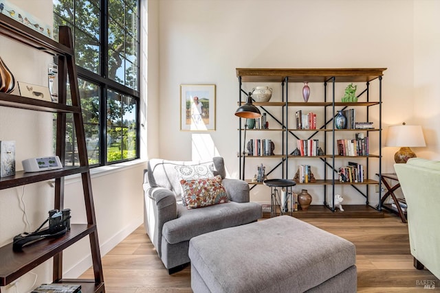living area featuring baseboards and wood finished floors