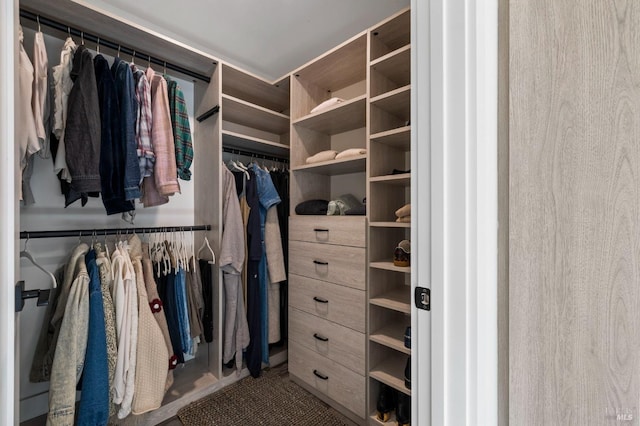 3314 Gravenstein Hwy S, Sebastopol, CA 95472 - view of walk in closet