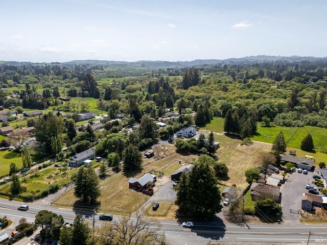 3314 Gravenstein Hwy S, Sebastopol, CA 95472 - aerial view of property and surrounding area featuring a heavily wooded area