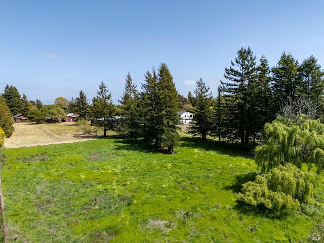 3314 Gravenstein Hwy S, Sebastopol, CA 95472 - view of yard