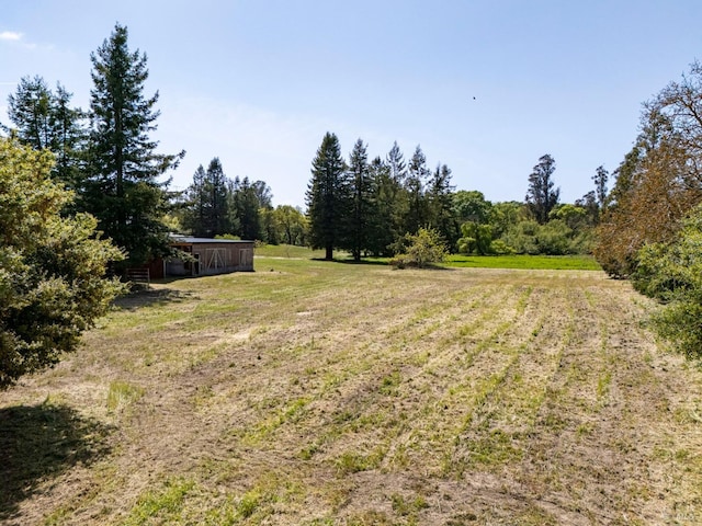 3314 Gravenstein Hwy S, Sebastopol, CA 95472 - view of green lawn featuring a forest view