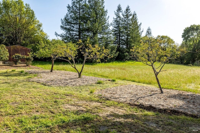 3314 Gravenstein Hwy S, Sebastopol, CA 95472 - view of green lawn