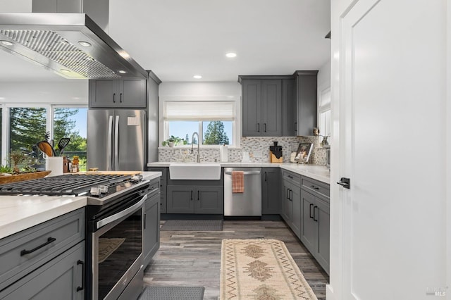 3314 Gravenstein Hwy S, Sebastopol, CA 95472 - kitchen featuring stainless steel appliances, a sink, gray cabinetry, ventilation hood, and healthy amount of natural light