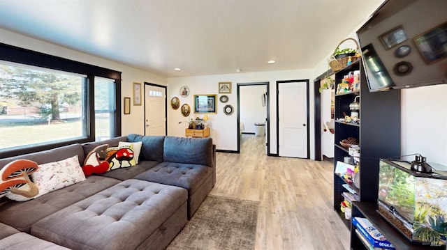 3314 Gravenstein Hwy S, Sebastopol, CA 95472 - living room featuring light wood-type flooring and recessed lighting